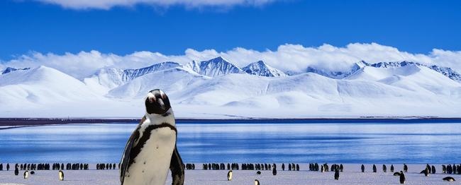 Welke kleur heeft Antarctica